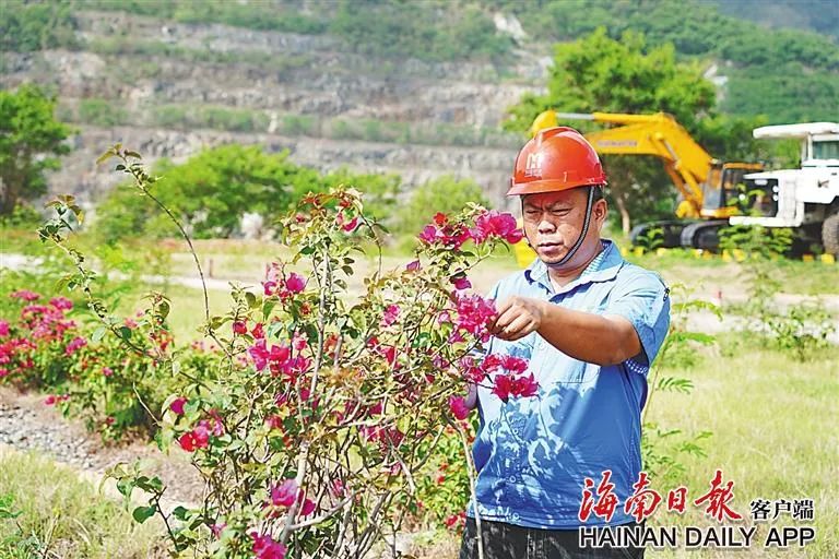 海南這座礦山，為何這么綠？4.jpg