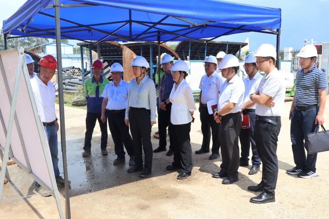 海南省副省長尹麗波赴星之海2萬噸氫氧化鋰項目現場調研